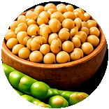 Soja Soja